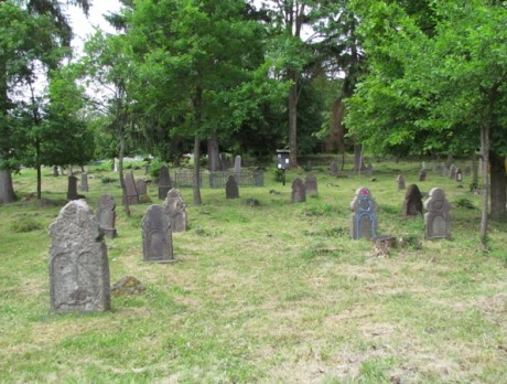 Typicky novohradské kamenné ľudové náhrobníky- Horný Tisovník (2)