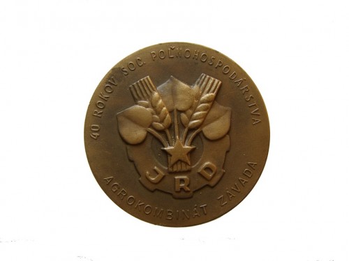 11.-medaila.jpg